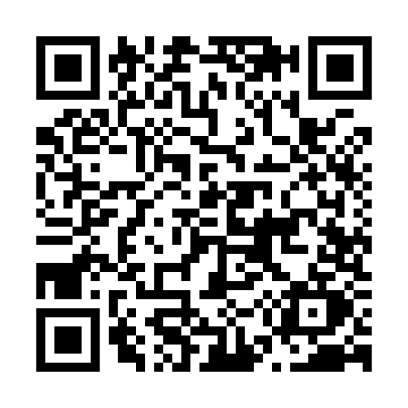 QR code for N599