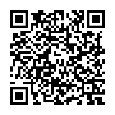 QR code for N619