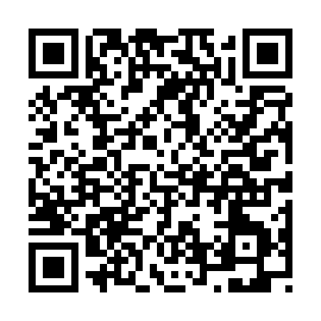 QR code for N6401
