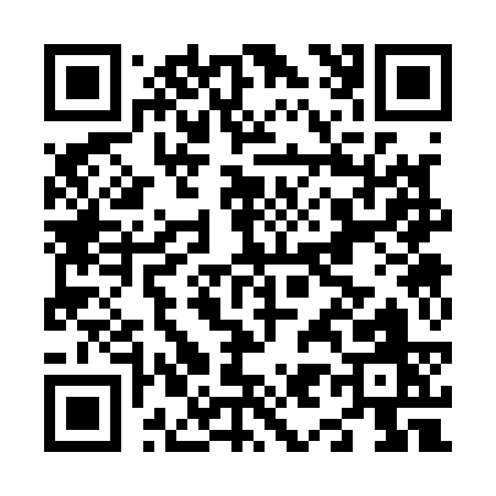 QR code for N9313