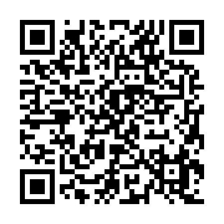 QR code for N9393