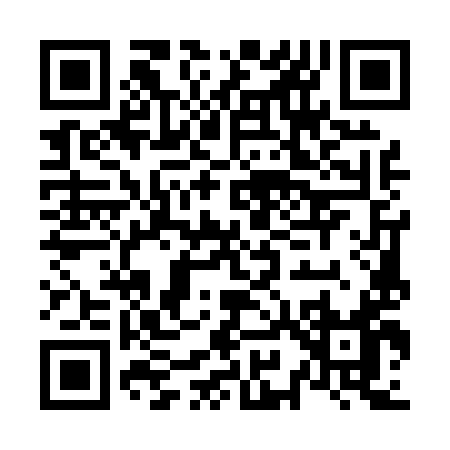 QR code for N9509