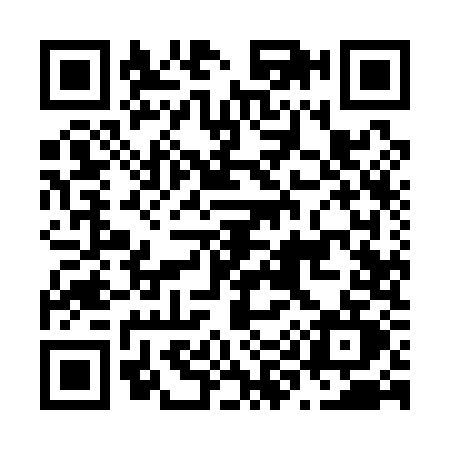 QR code for N991