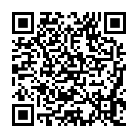 QR code for O3917
