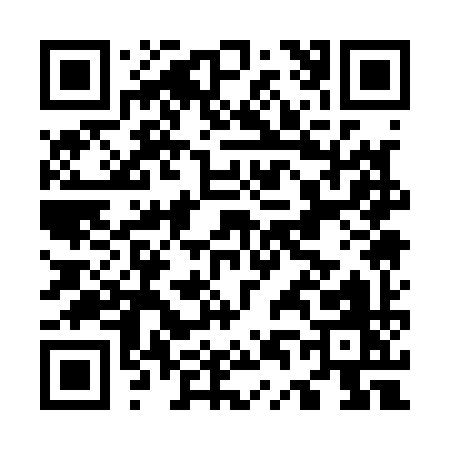 QR code for O4119
