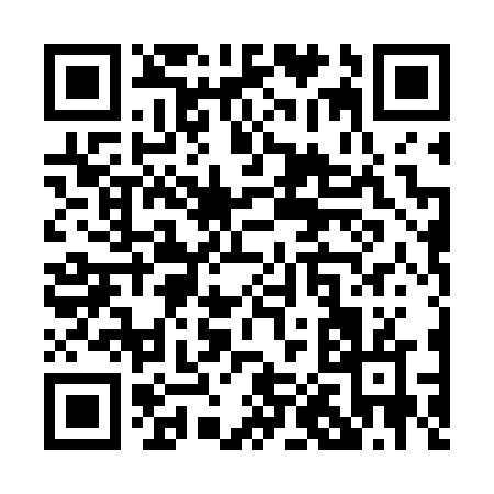 QR code for P0066