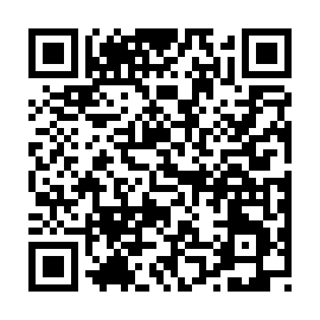 QR code for P0204