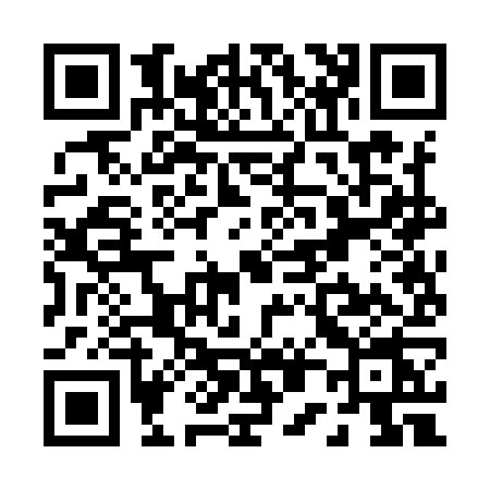 QR code for P029