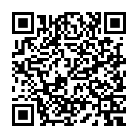 QR code for P041