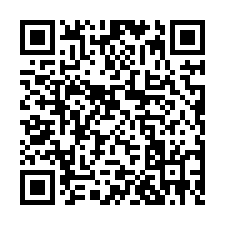 QR code for P0485
