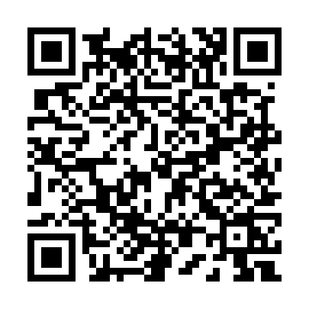 QR code for P055