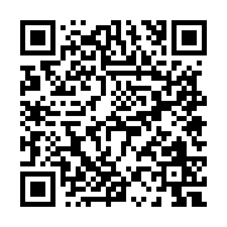 QR code for P0553
