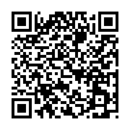 QR code for P0647
