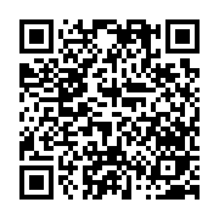 QR code for P0976