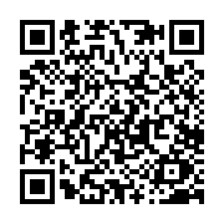 QR code for P101