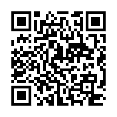QR code for P11