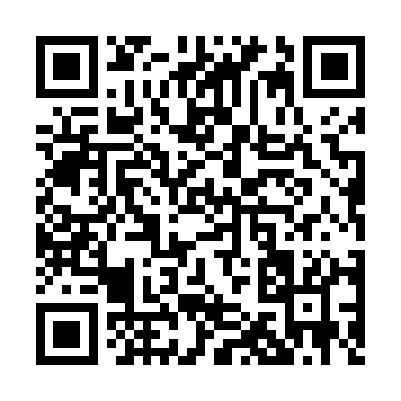 QR code for P1541