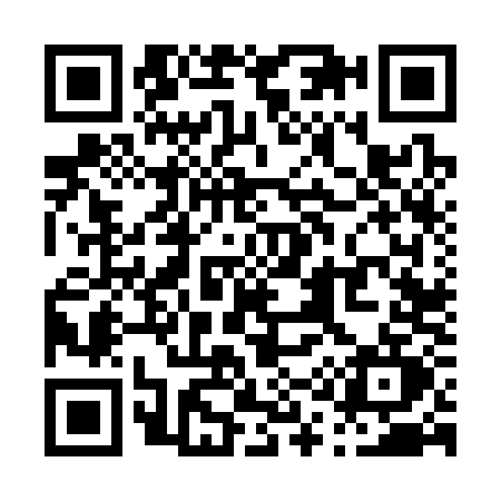 QR code for P163