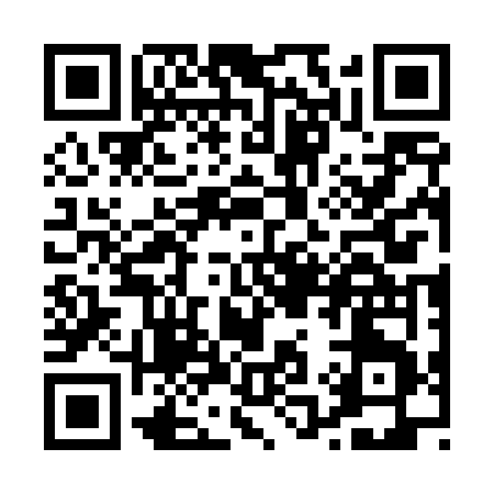 QR code for P1746