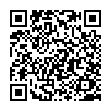 QR code for P193