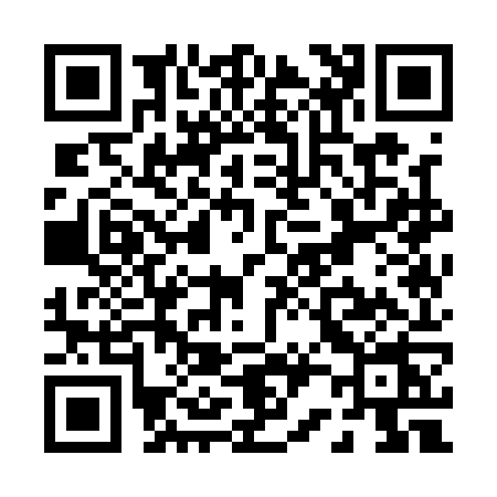 QR code for P211