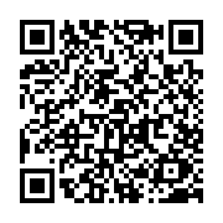 QR code for P213