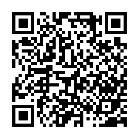 QR code for P2165