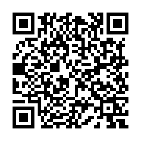 QR code for P228