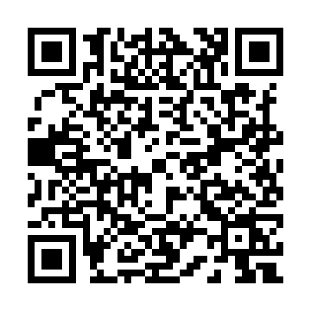 QR code for P229