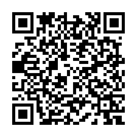 QR code for P234