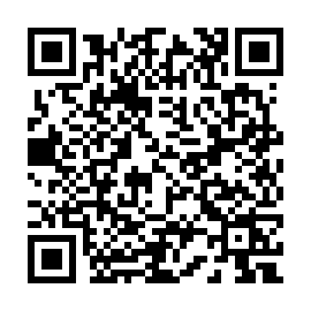 QR code for P236
