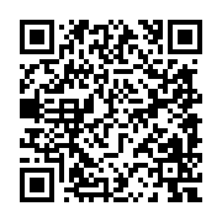 QR code for P2449