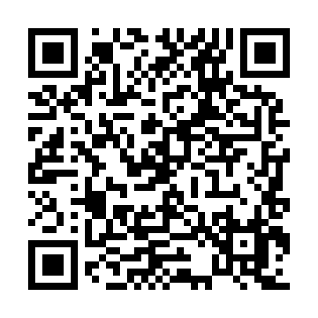 QR code for P2498
