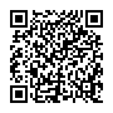 QR code for P262