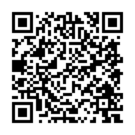 QR code for P2846