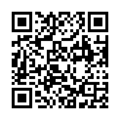 QR code for P29