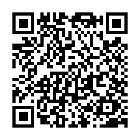 QR code for P294