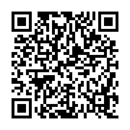 QR code for P302