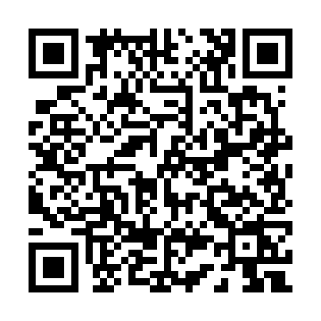 QR code for P306