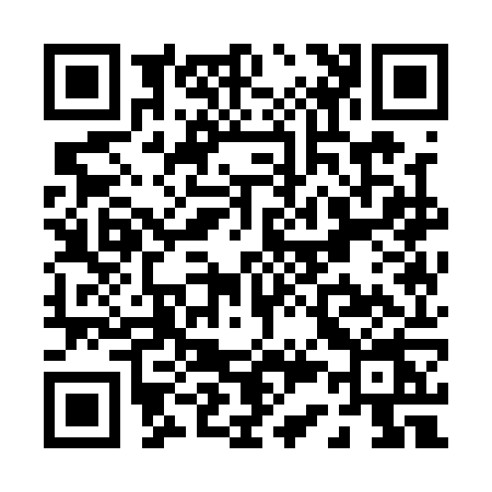 QR code for P311