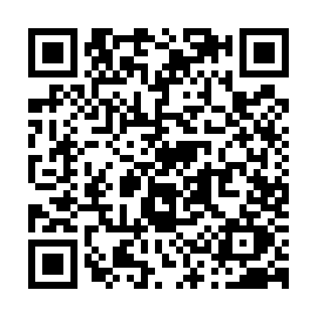 QR code for P315