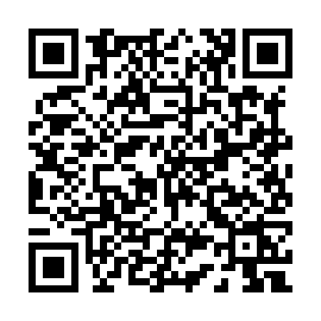 QR code for P328