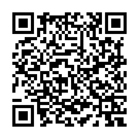 QR code for P338