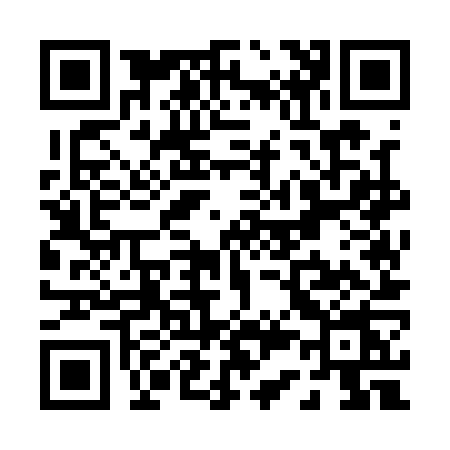 QR code for P351