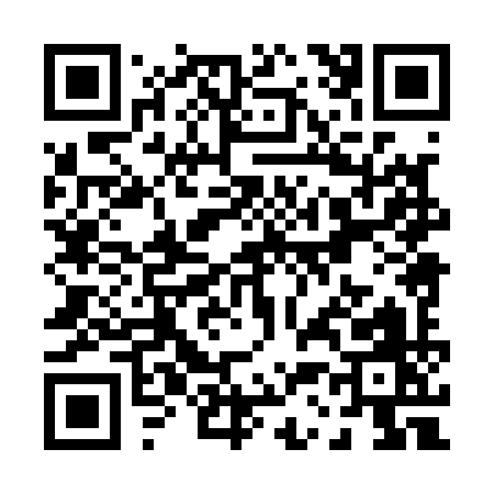 QR code for P3819
