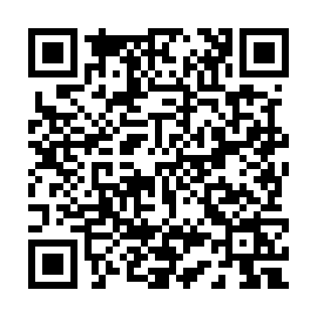 QR code for P385