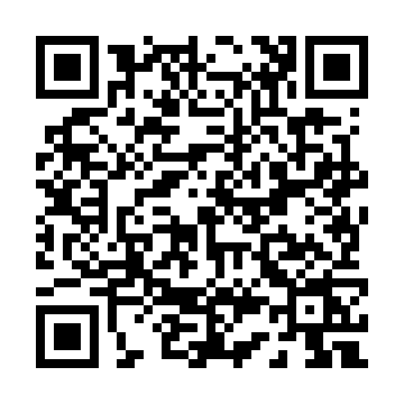 QR code for P387