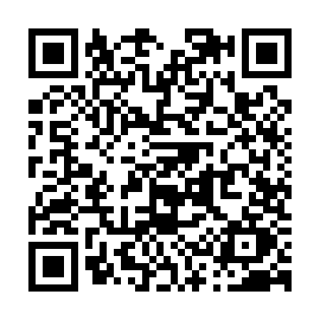 QR code for P391
