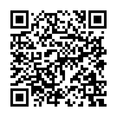 QR code for P3913