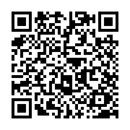 QR code for P392